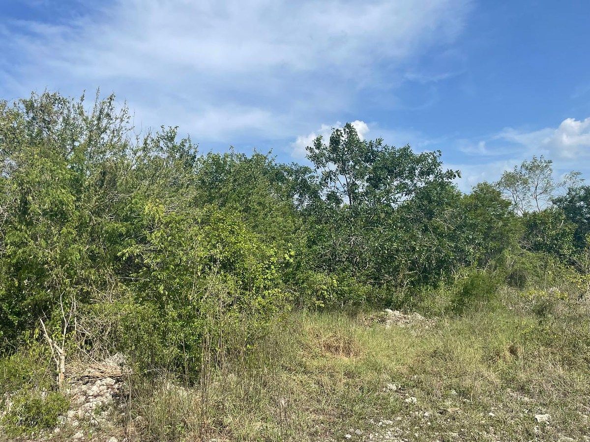 VENTA!!! TERRENO EN PARAÍSO YUCATÁN - foto 2