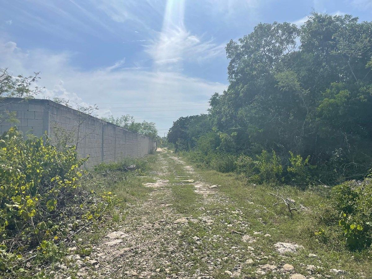 VENTA!!! TERRENO EN PARAÍSO YUCATÁN - foto 3