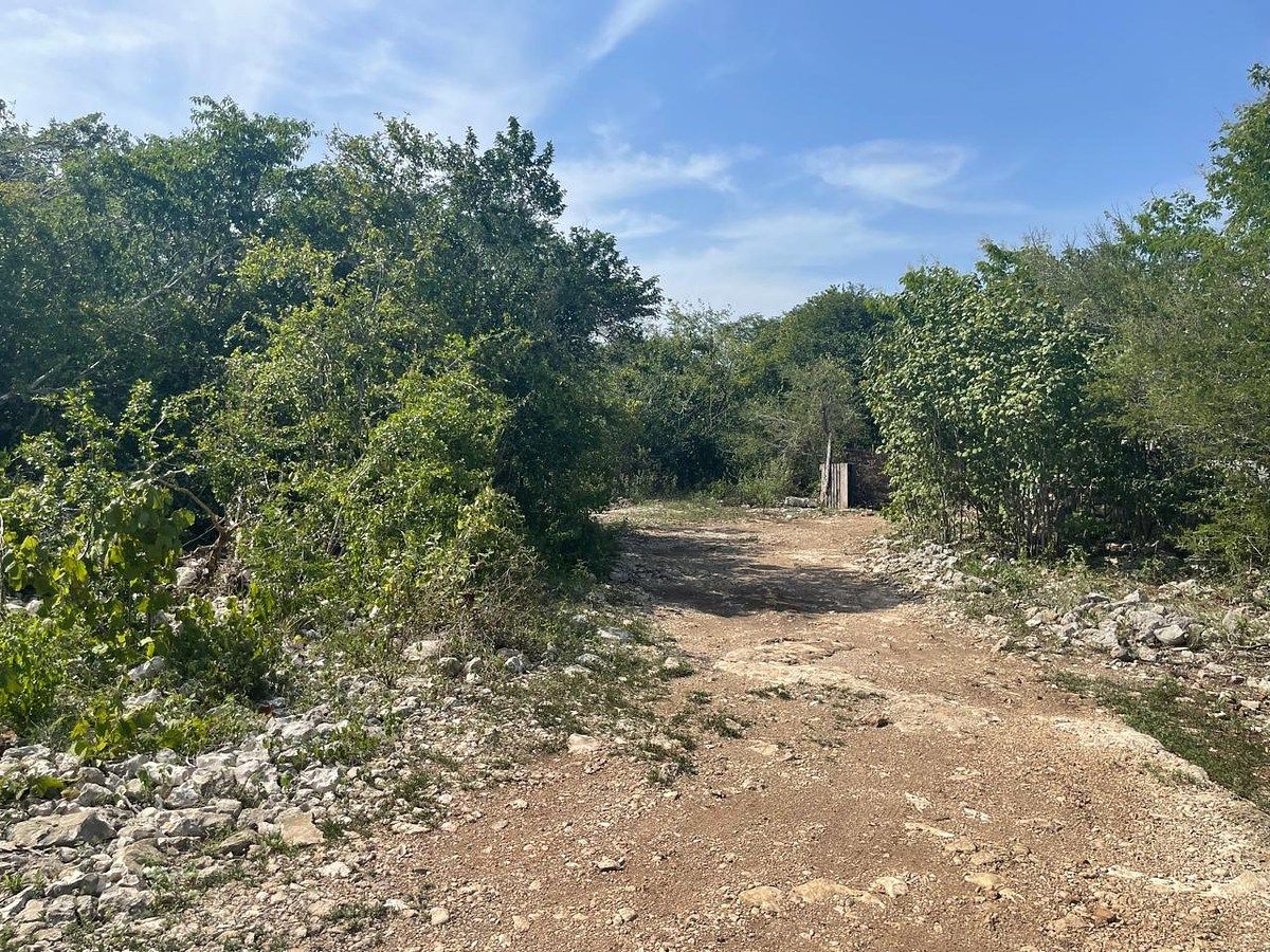 VENTA!!! TERRENO EN PARAÍSO YUCATÁN - foto 4
