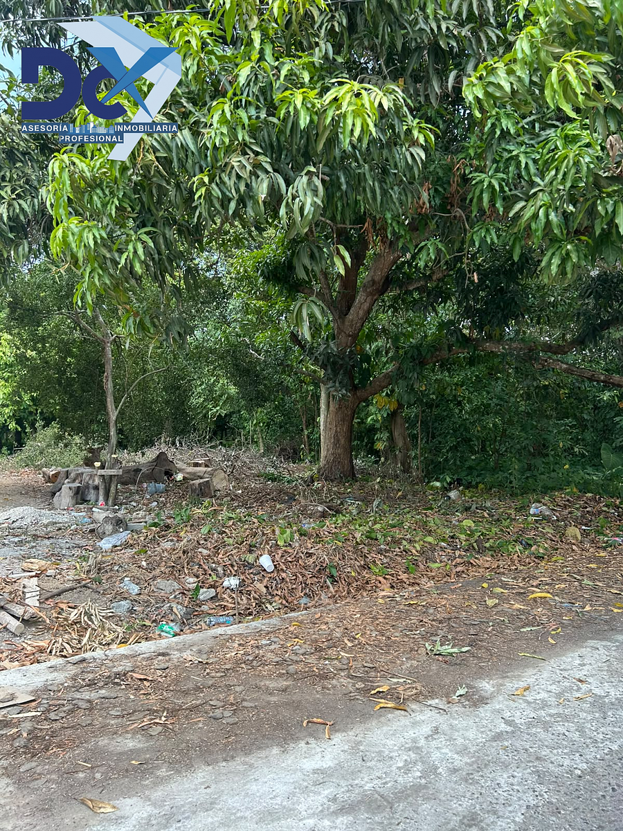Terreno en Venta Ra Norte 2DA Comalcalco