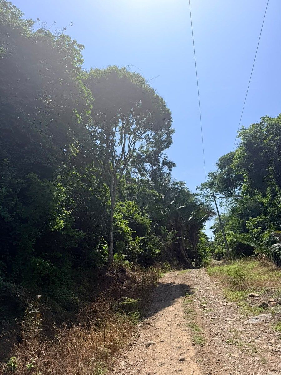 Lote em Platanitos, Compostela, foto 4 de 24