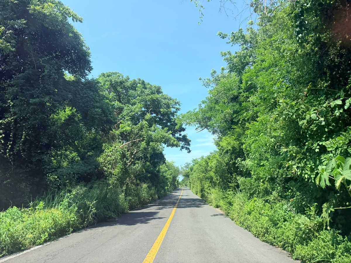 Lote em Platanitos, Compostela, foto 5 de 24