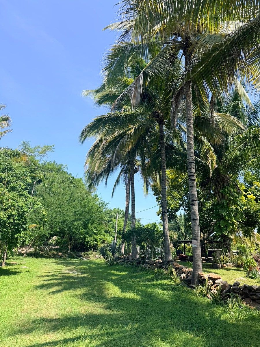 Lote em Platanitos, Compostela, foto 6 de 24