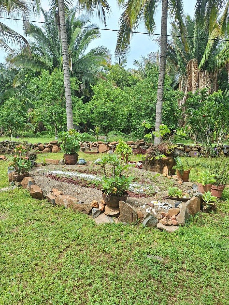 Terreno en Platanitos, Compostela, foto 20 de 24