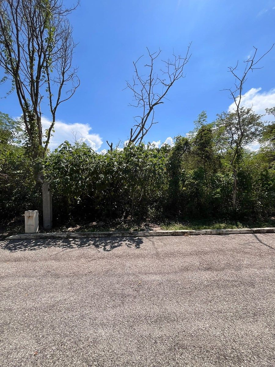 EN ELEGANTE PRIVADA, ESTILO CAMPO, CON RESIDENCIAS PRECIOSAS 20X47 - foto 2