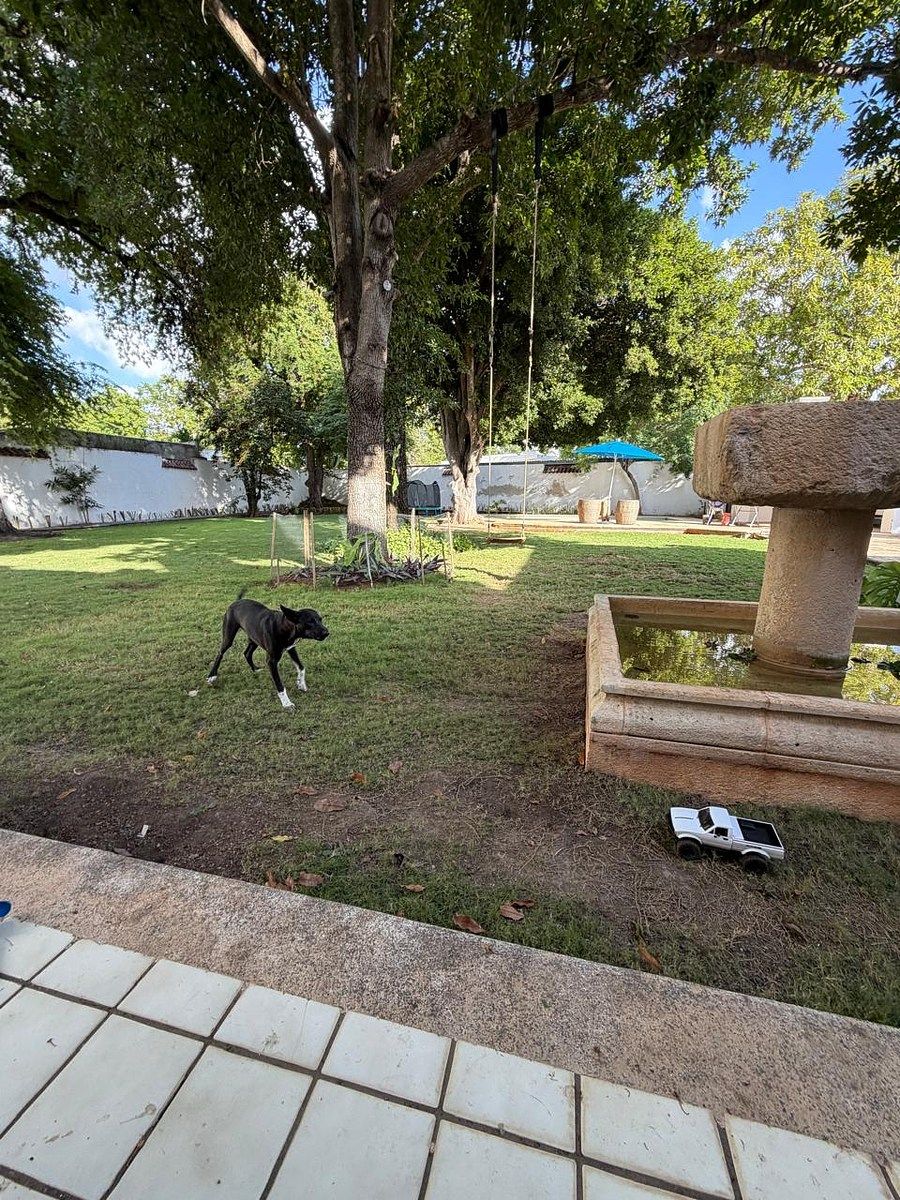 Casa em García Gineres, Mérida, foto 10 de 38