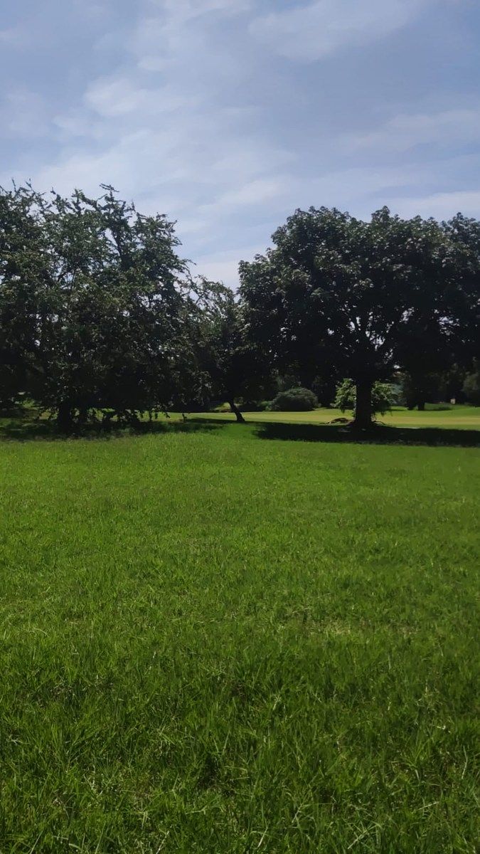 Terreno en Paraíso Country Club - foto 2