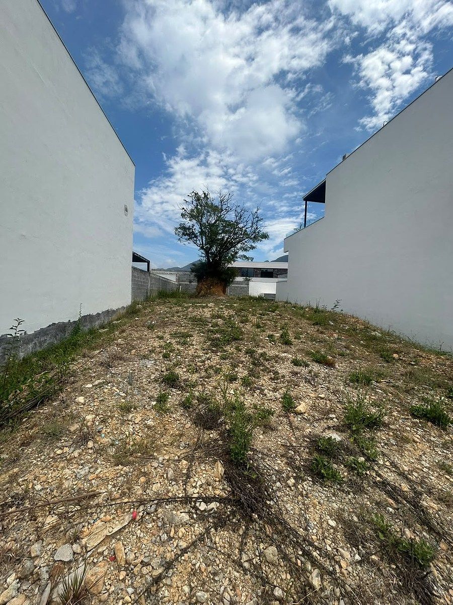 TERRENO EN VENTA EN RES. LOS OLIVOS, EL BARRO, CARRETERA NACIONAL - foto 4