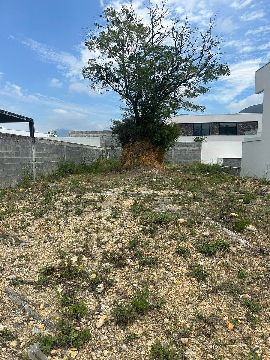 TERRENO EN VENTA EN RES. LOS OLIVOS, EL BARRO, CARRETERA NACIONAL - foto 5