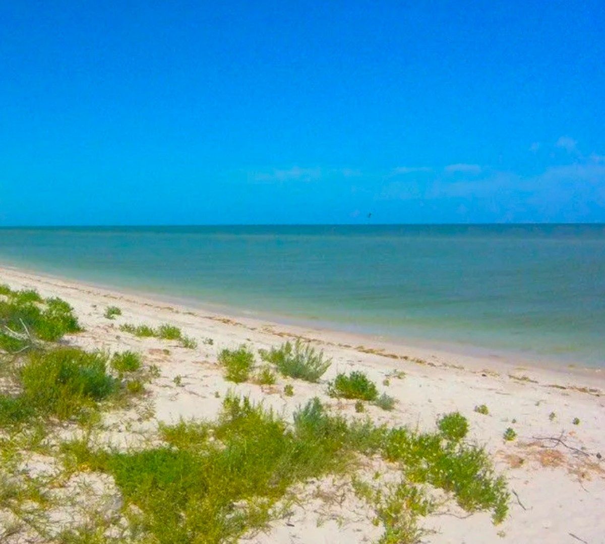 Terreno en venta frente al mar en Celestún | 20 m de playa - foto 1