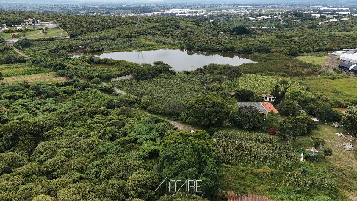 TERRENO EN VENTA EN IXTLAHUACÁN DE LOS MEMBRILLOS - foto 2