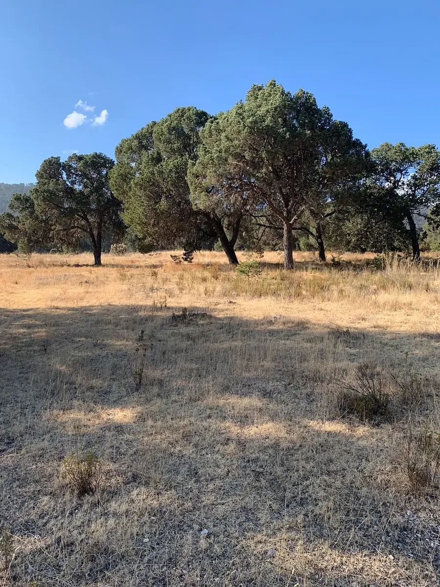 TERRENO À VENDA EM LOS LLANOS, ARTEAGA, COAHUILA., foto 1 de 8