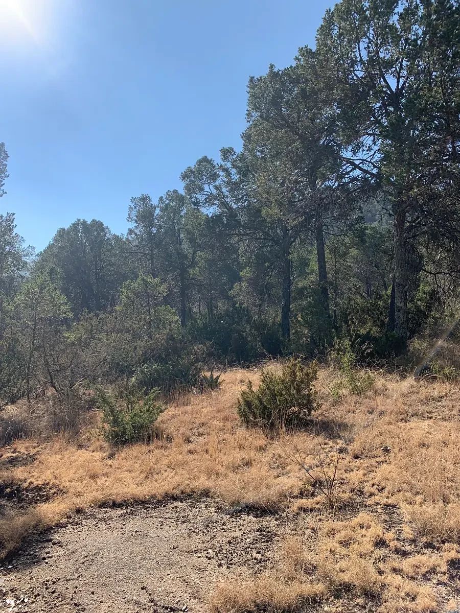 Lote em Los Llanos, Arteaga, foto 2 de 8