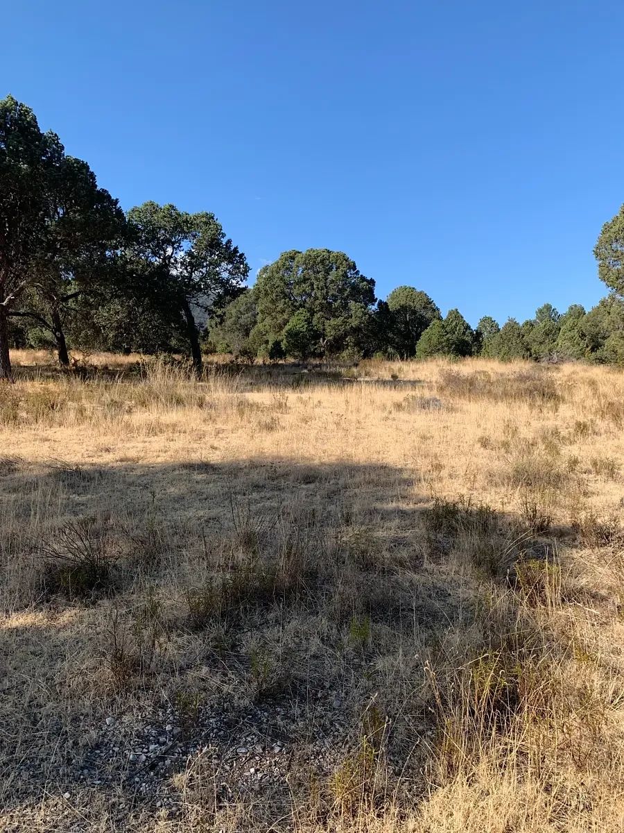 Lote em Los Llanos, Arteaga, foto 3 de 8