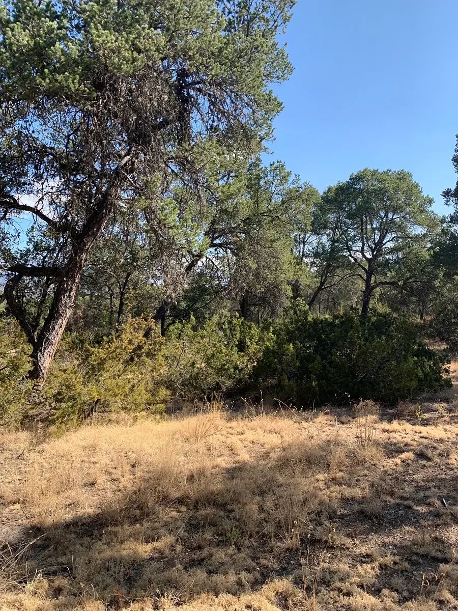 Lote em Los Llanos, Arteaga, foto 4 de 8