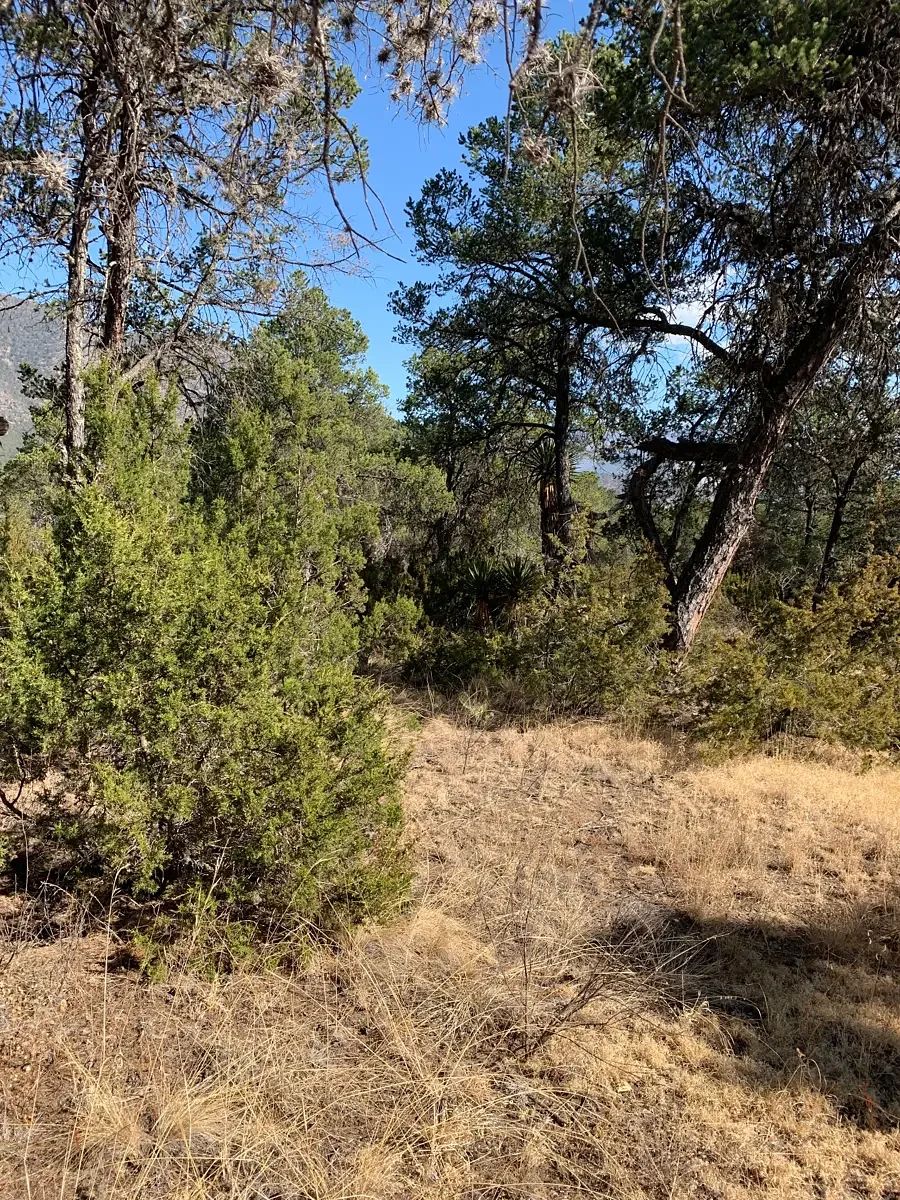 Lote em Los Llanos, Arteaga, foto 6 de 8