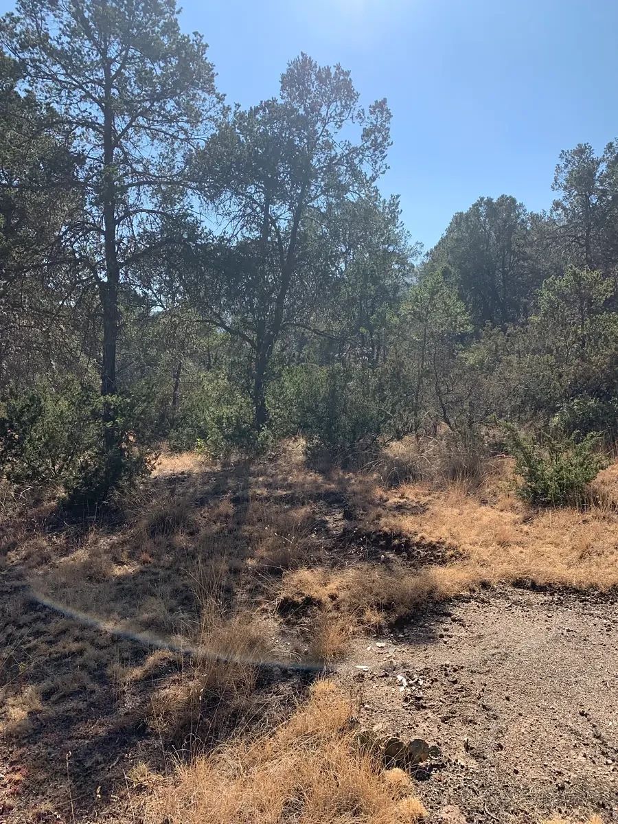 Lote em Los Llanos, Arteaga, foto 7 de 8
