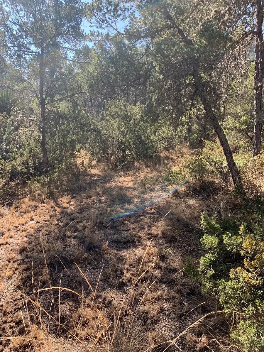 Lote em Los Llanos, Arteaga, foto 8 de 8