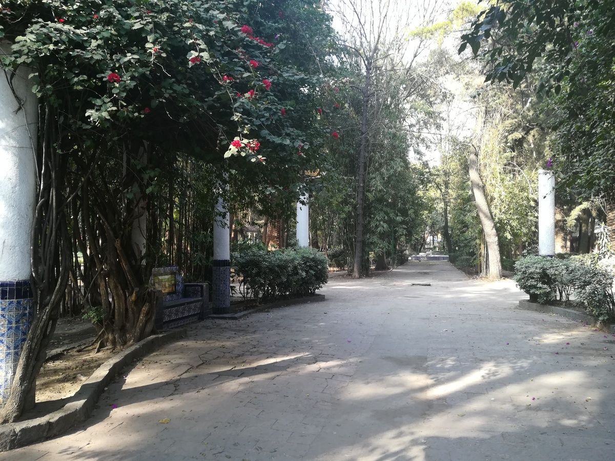 10 de 10: Parque Xicotencatl a 100 mts del departamento.