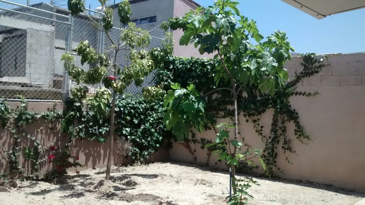 8 de 11