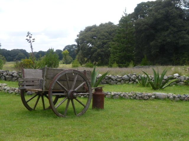 10 de 28