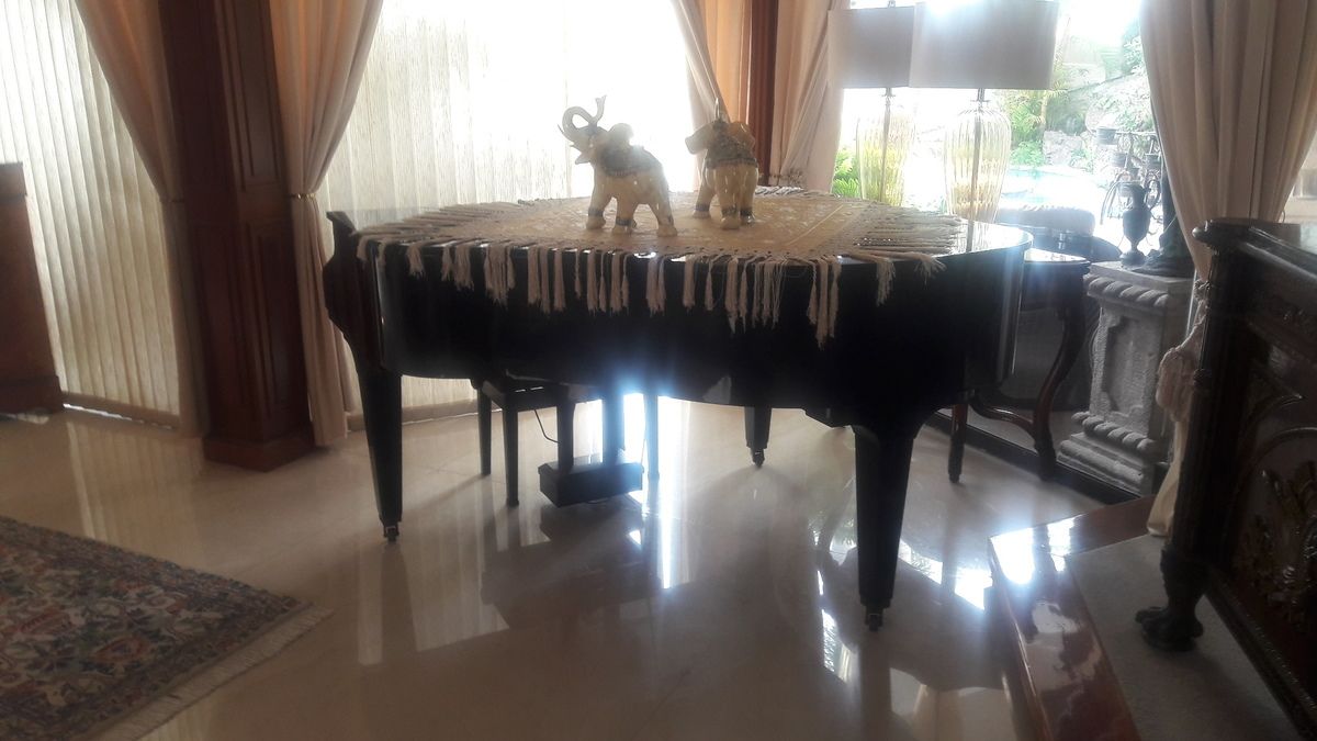 21 of 47: SALÒN Y PIANO