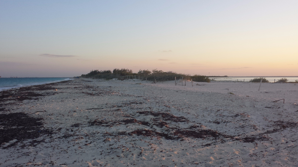 4 de 15: venta terreno con playa en isla blanca