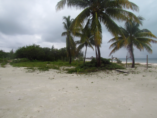 3 de 12: terreno frente a la playa en isla mujeres
