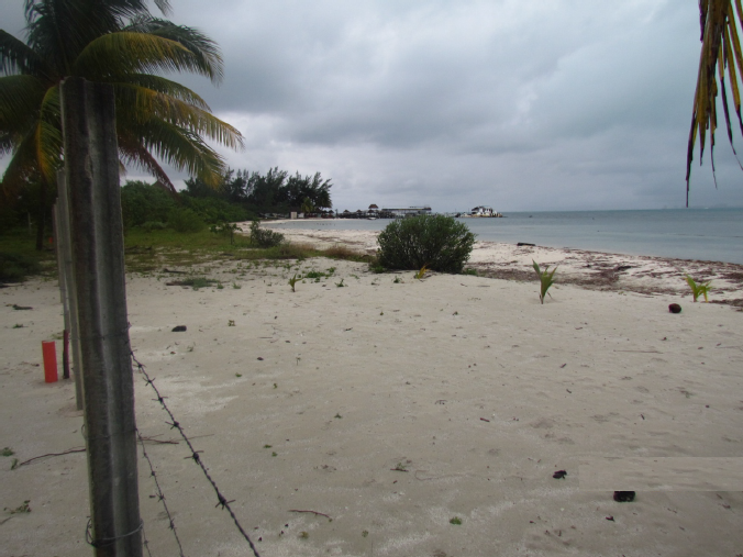 4 de 12: terreno co frente de playa en isla mujeres