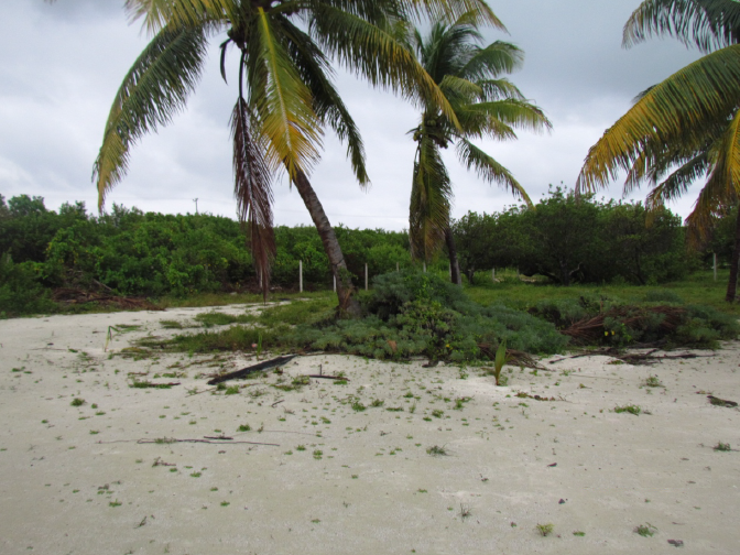 7 de 12: terreno frente a la playa isla mujeres