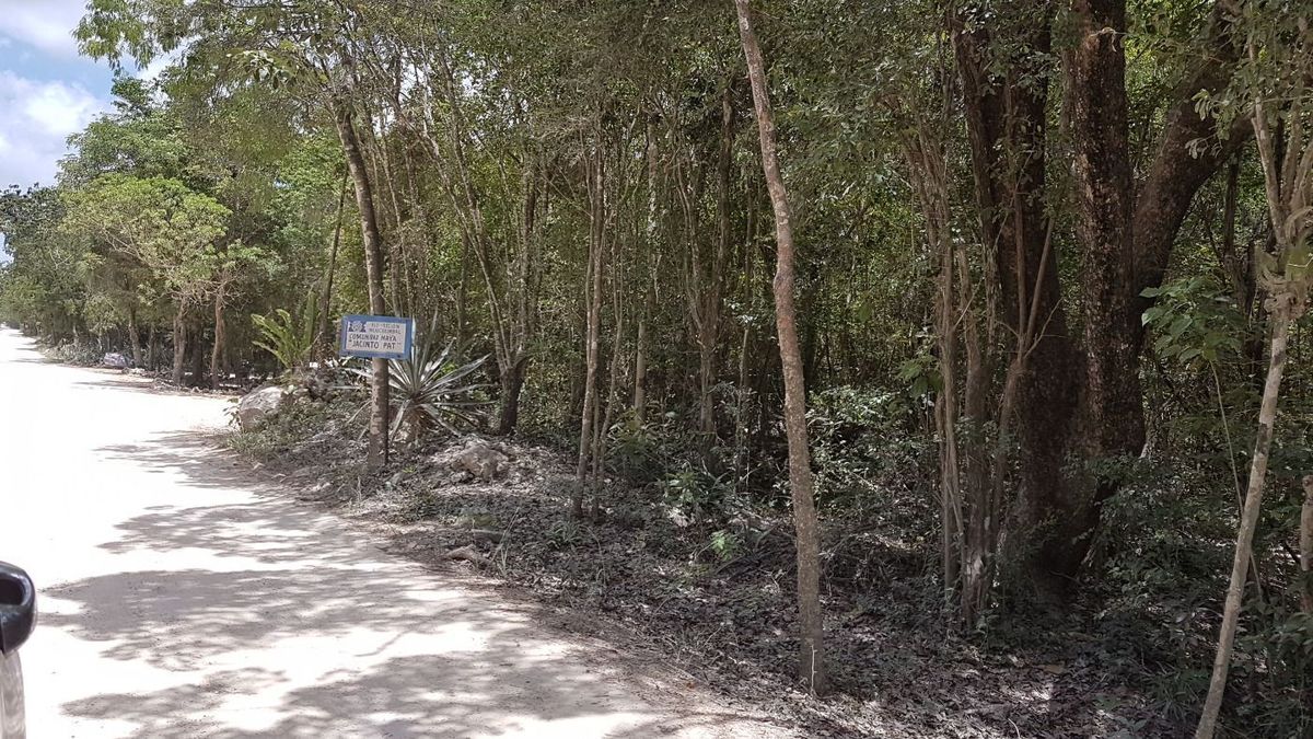 8 de 26: Terreno en Quintana Roo