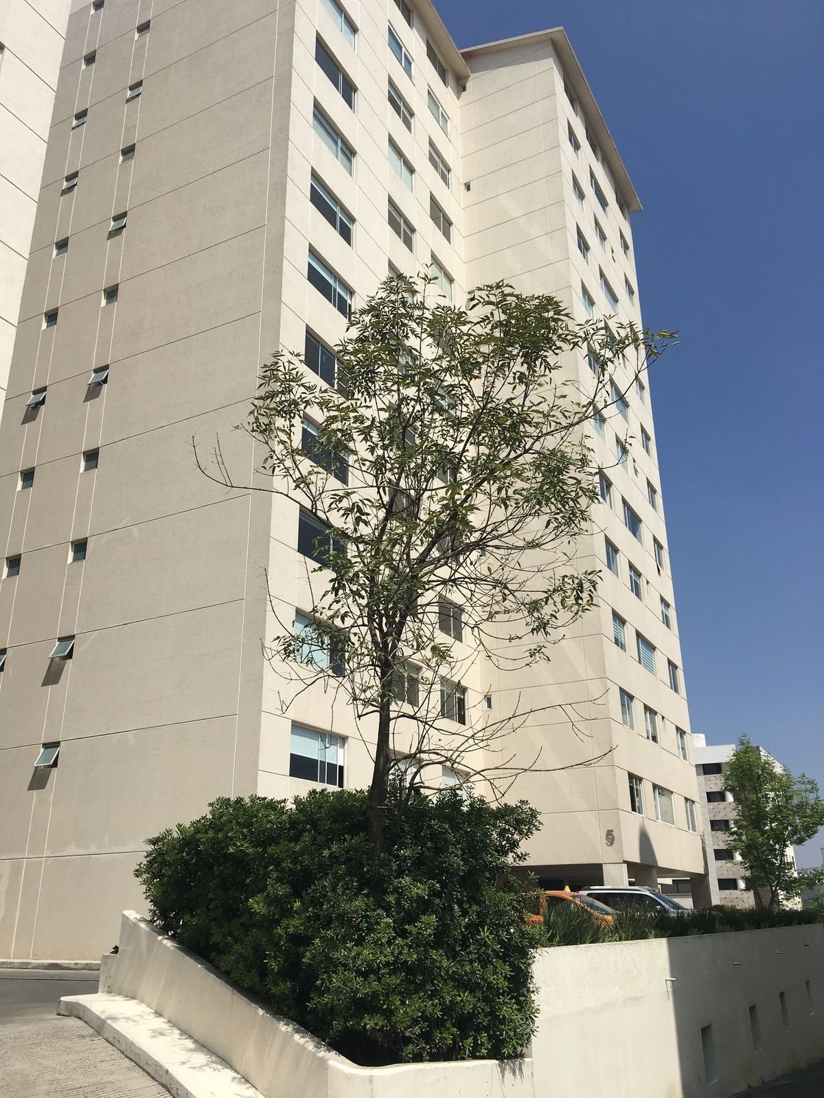 1 de 18: Vista Desarrollo