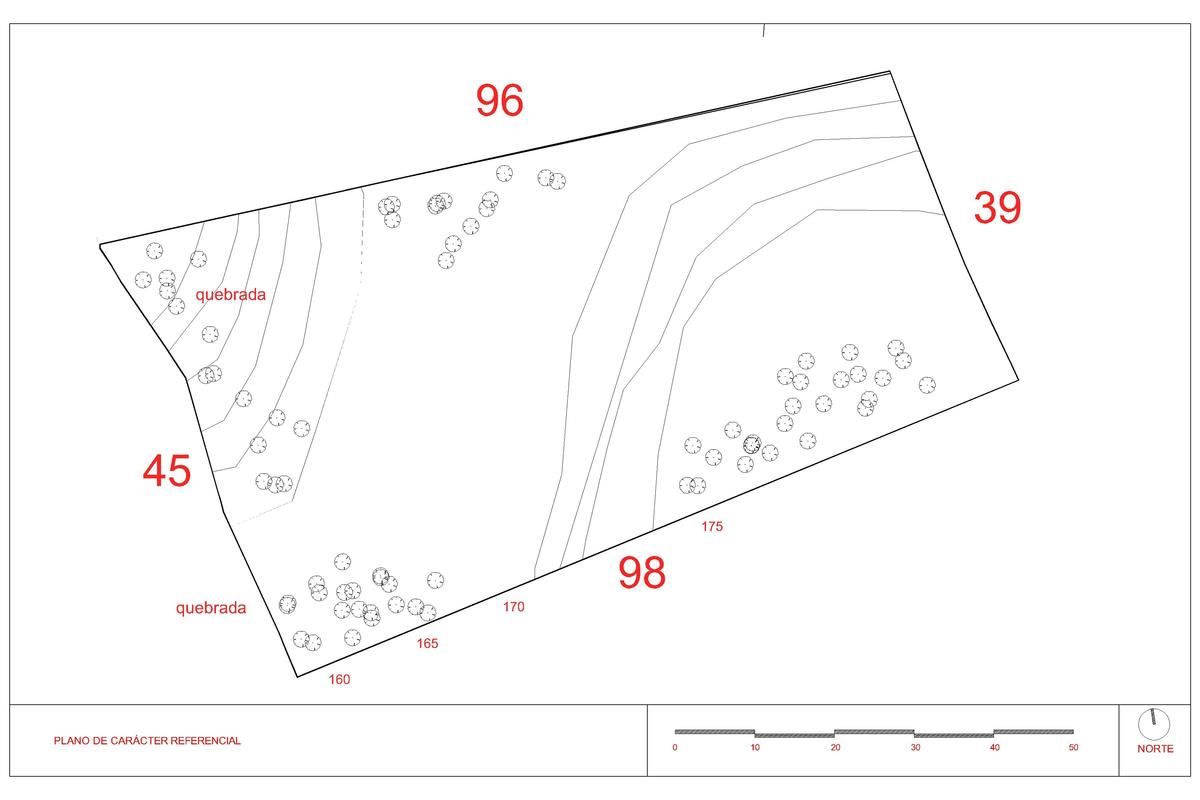 4 de 12: Plano Terreno