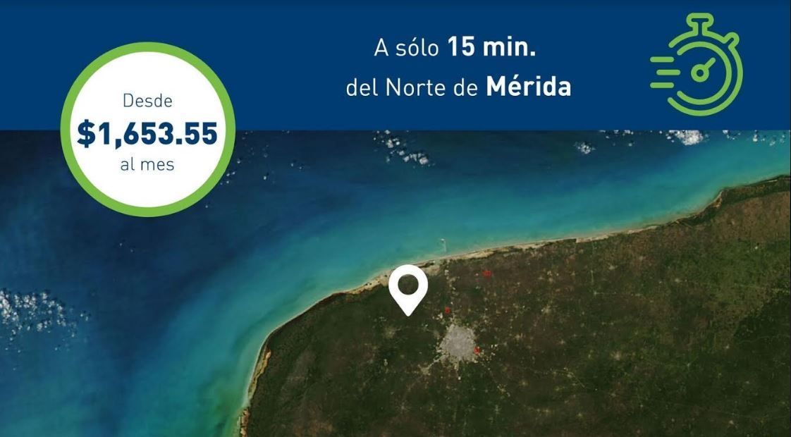 5 de 5