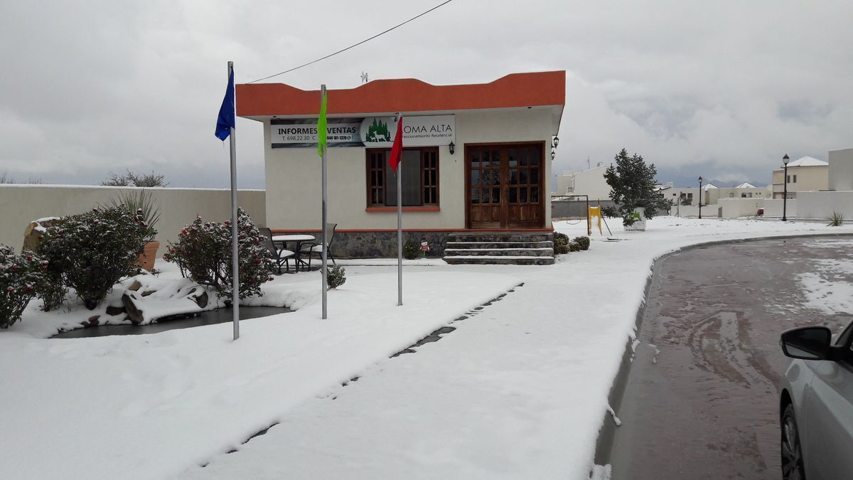 5 de 13