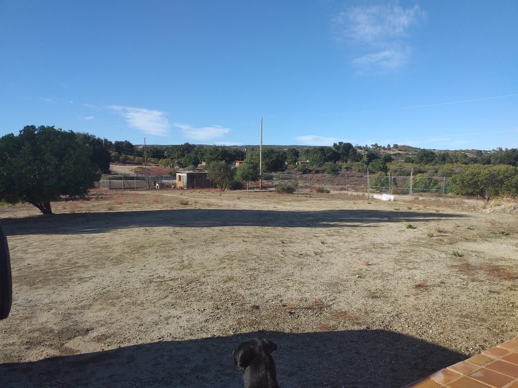9 de 21