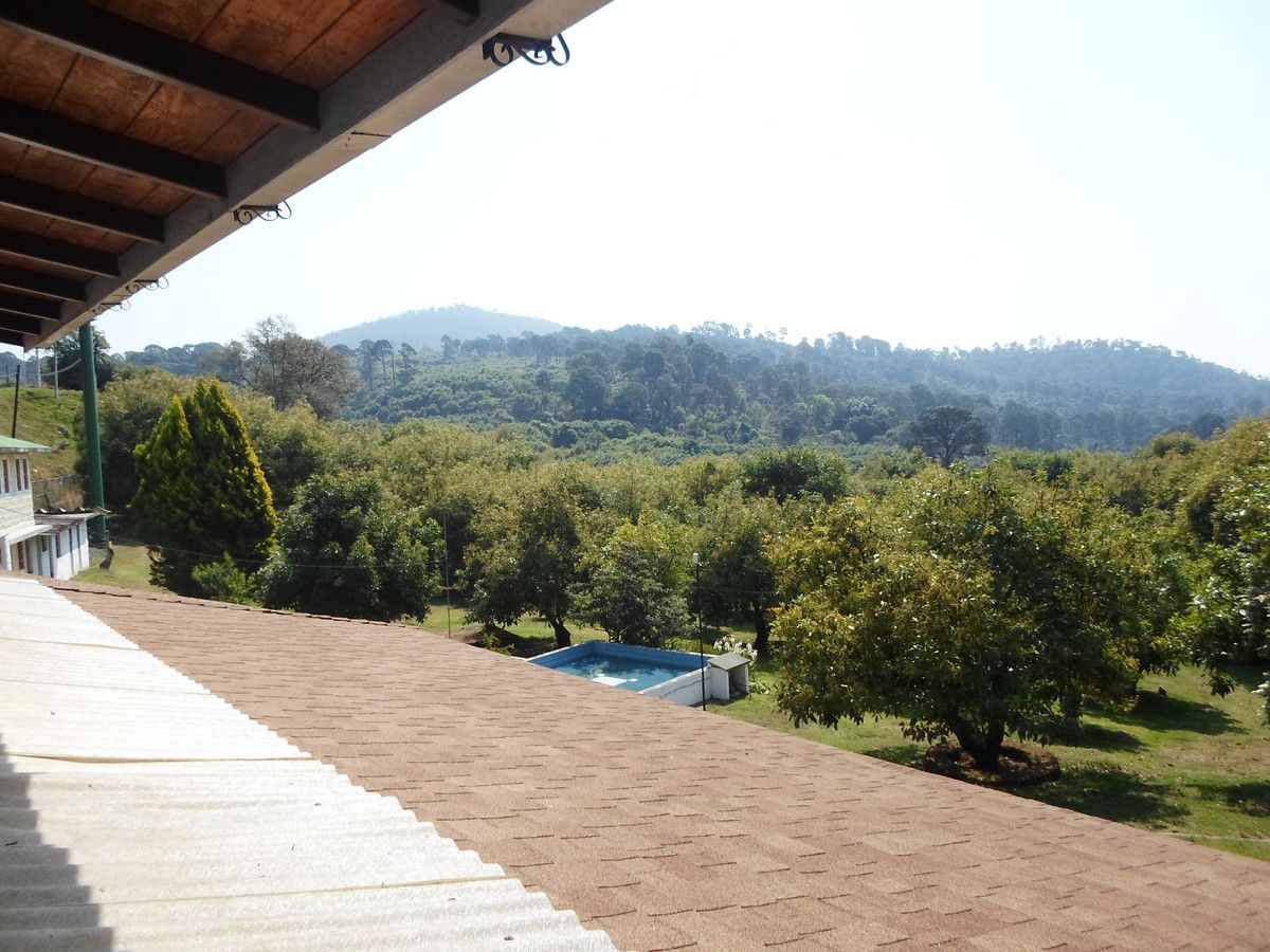 11 of 42: Vista a la huerta de aguacates