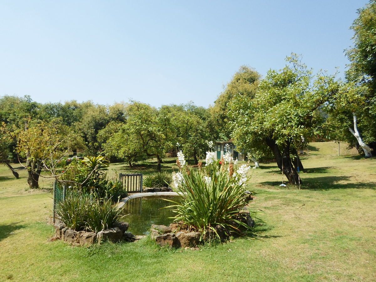 27 of 42: Huerta y estanque de peces