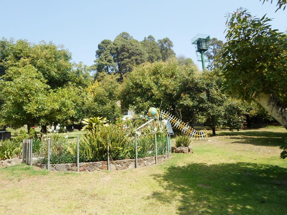 30 of 42: Estanque de peces y huerta