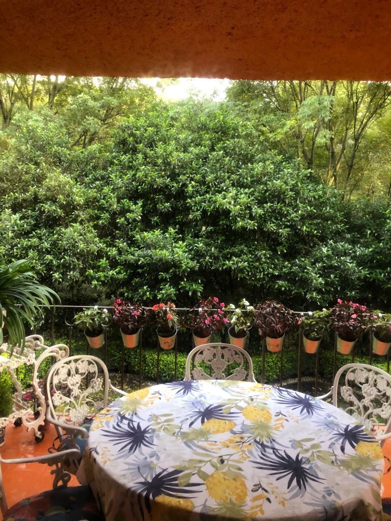 Casa en Bosque de las Lomas, Miguel Hidalgo, foto 3 de 14