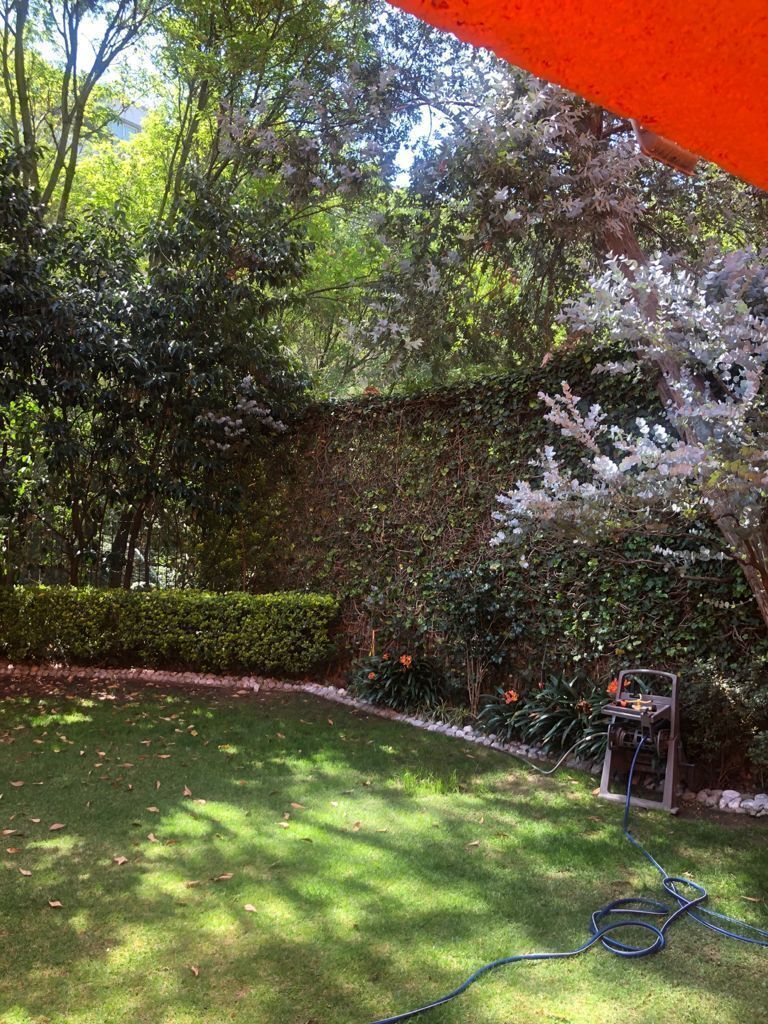 Casa en Bosque de las Lomas, Miguel Hidalgo, foto 11 de 14
