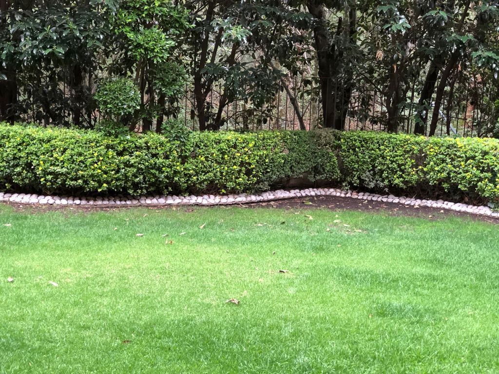 Casa en Bosque de las Lomas, Miguel Hidalgo, foto 14 de 14