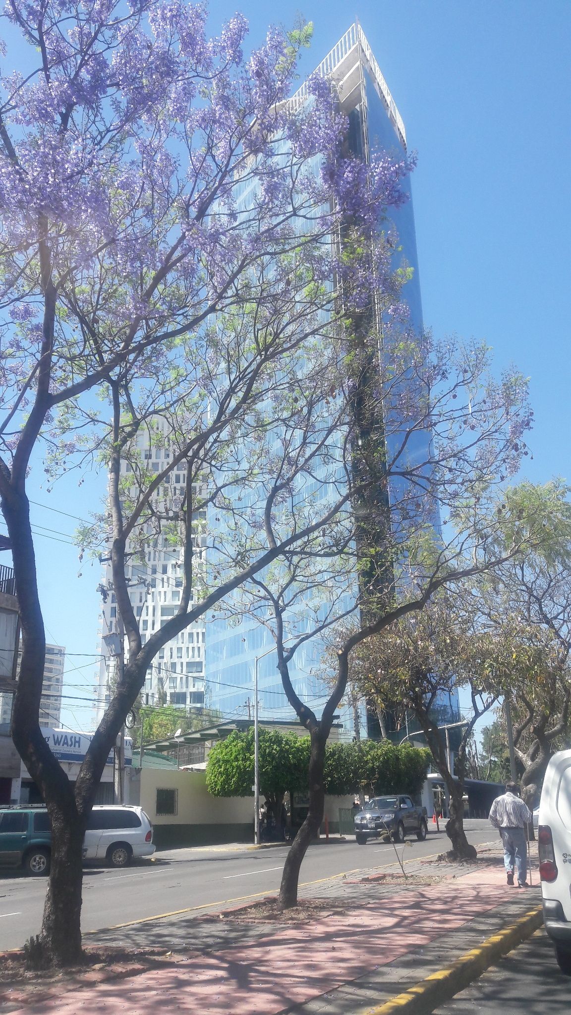 30 of 48: arbolado conjunto de edificios