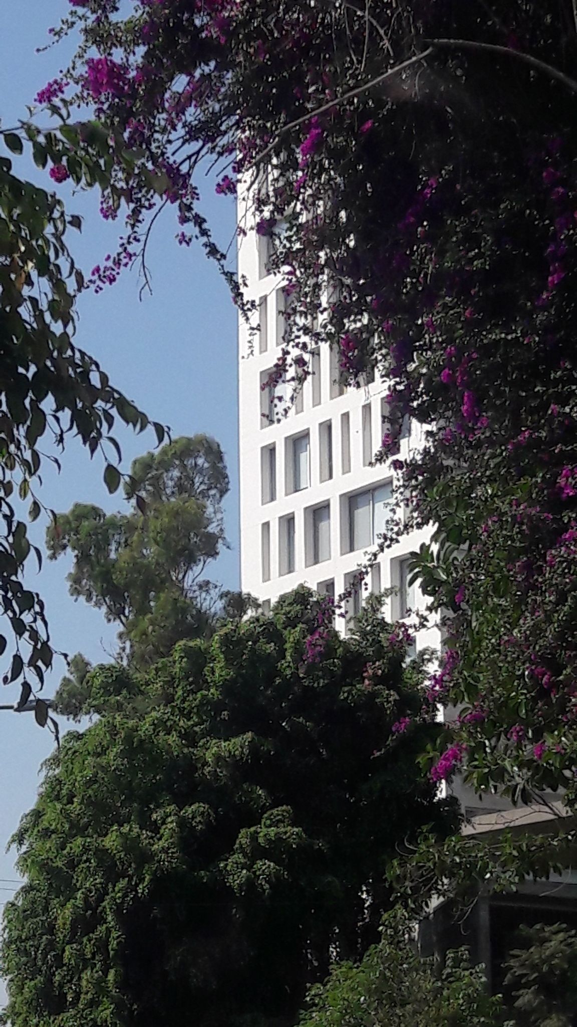 31 of 48: jardines alrededor del edificio