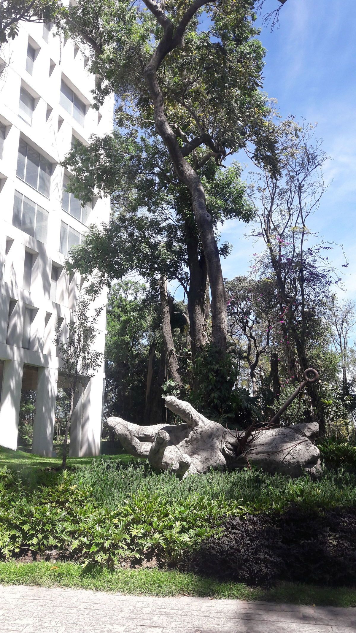 34 of 48: esculturas en jardin