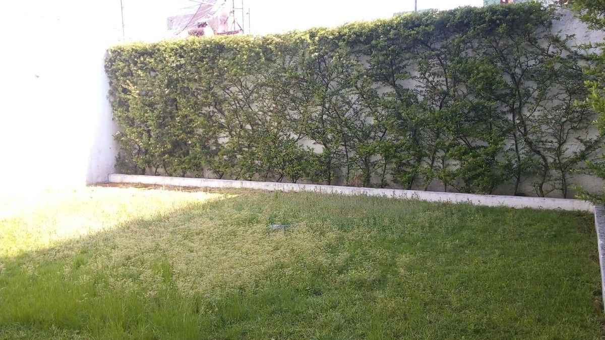 2 de 14: Jardín trasero 