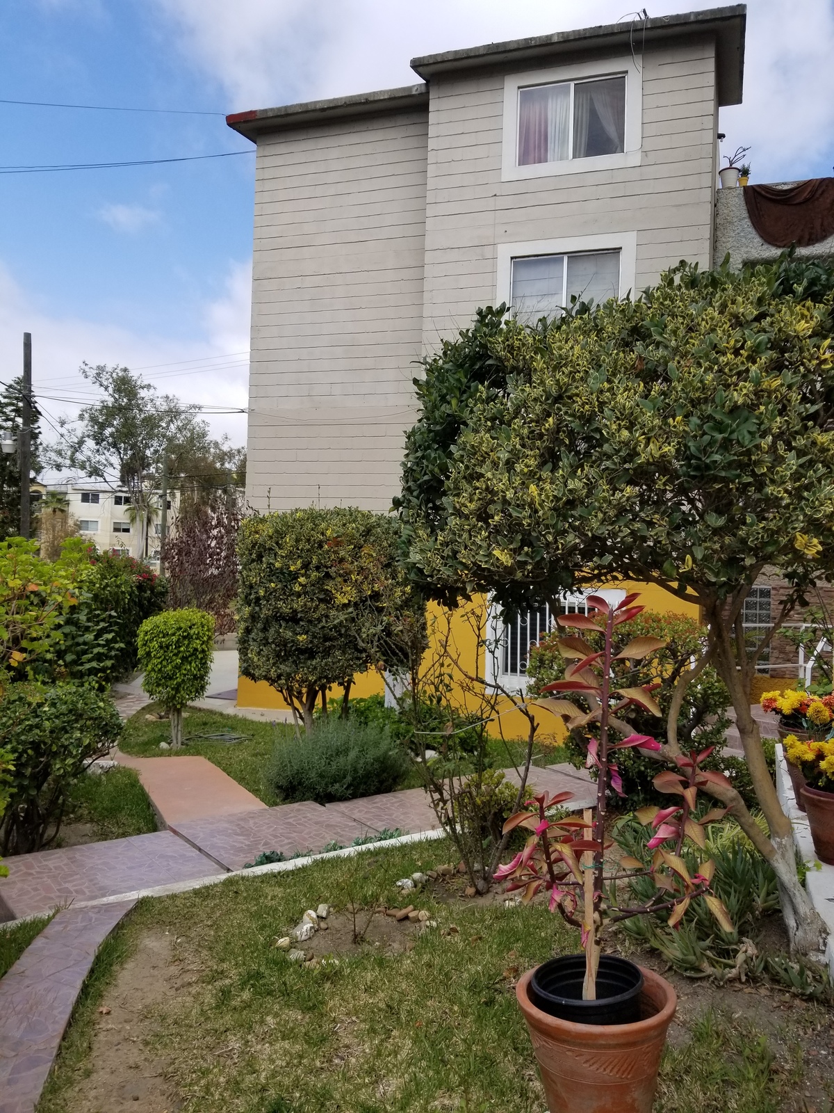 2 de 10: ÁREA JARDINADA COMUNAL 