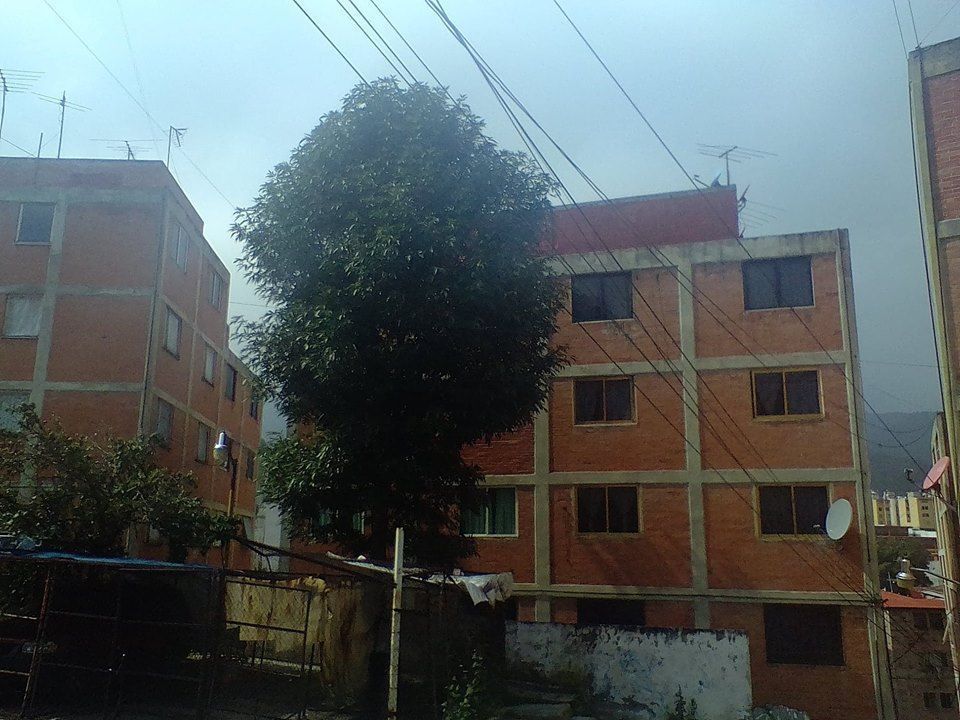 1 de 19: Edificio (Vista frontal)
