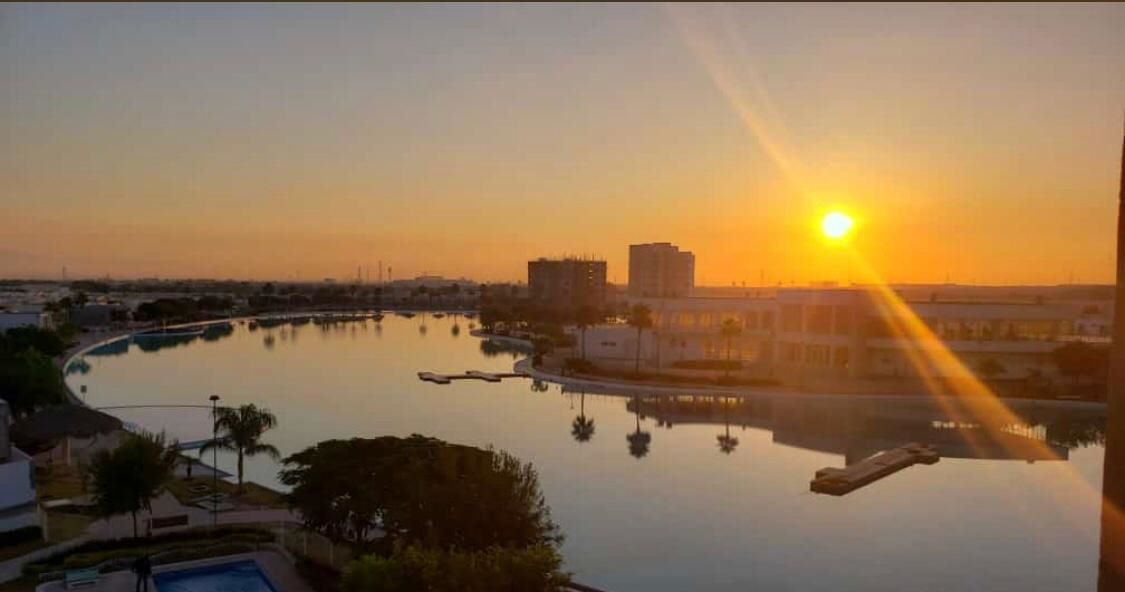 2 de 12