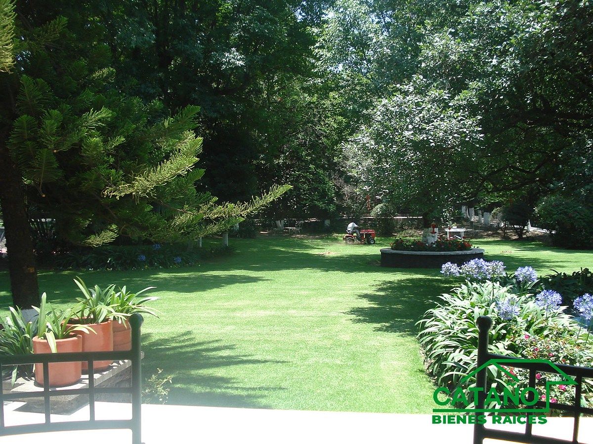 Jardín, photo 5 of 6
